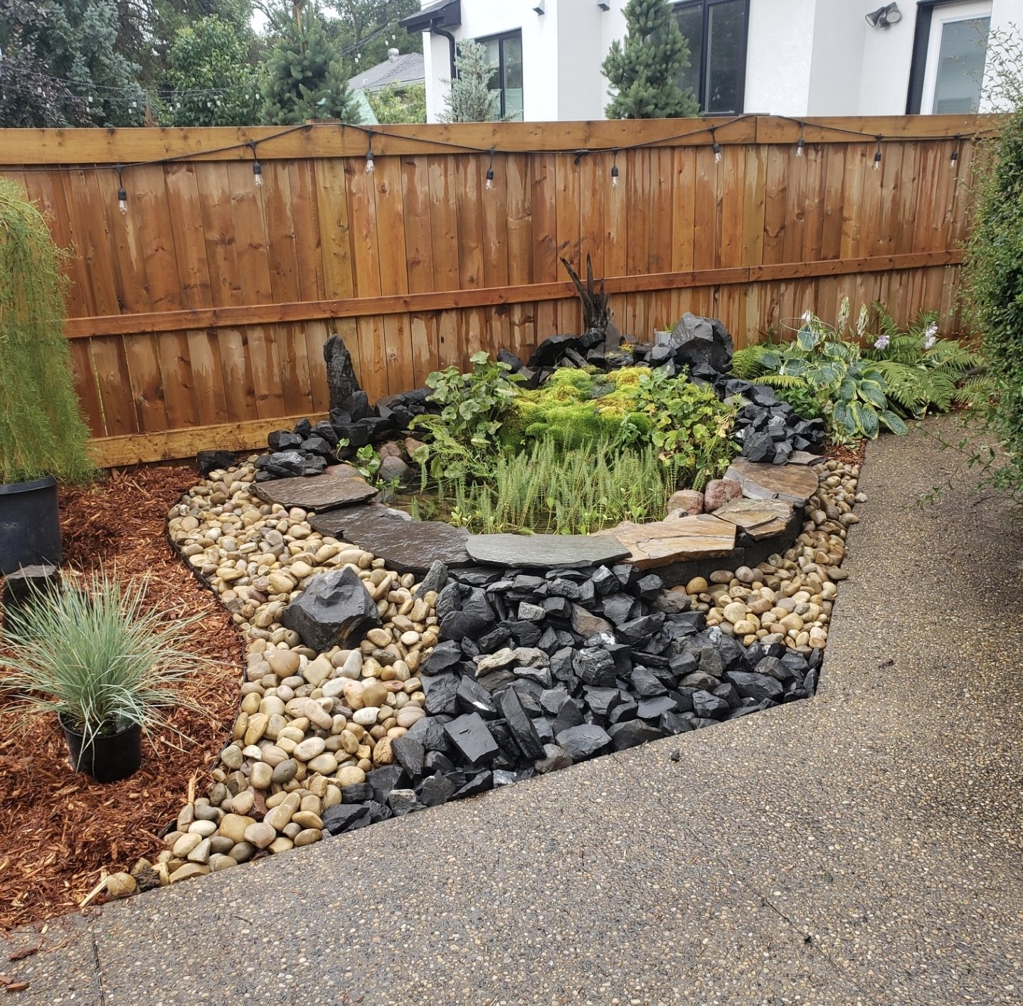 Rock pond water feature built by Asgard's Gardens Landscaping — river rock, slate waterfall stones, and aquatic plantings beside a wooden fence